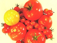 70123CrLeShReRo - Tomatoes!!!.jpg